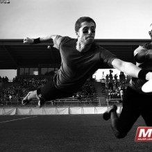 MLU 2012
