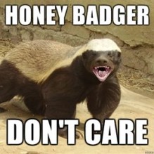 Honey-Badger-Dont-Care